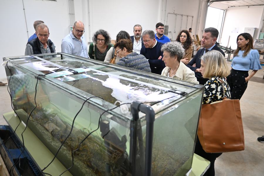 Noticia sobre  ALGAS IN VITRO PARA REPOBLAR ID 1020